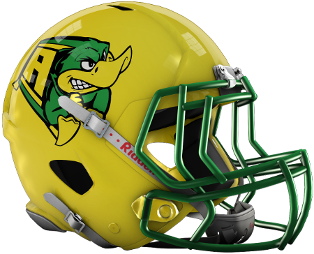 Current Amherst Mighty Ducks helmet