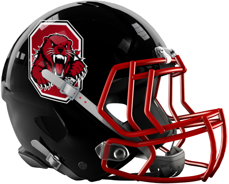 Current Ohio Otters helmet