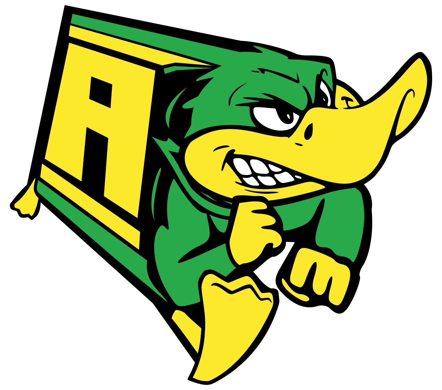Current Amherst Mighty Ducks logo