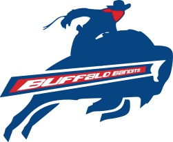 Buffalo Bandits logo