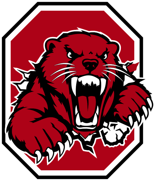 Current Ohio Otters logo